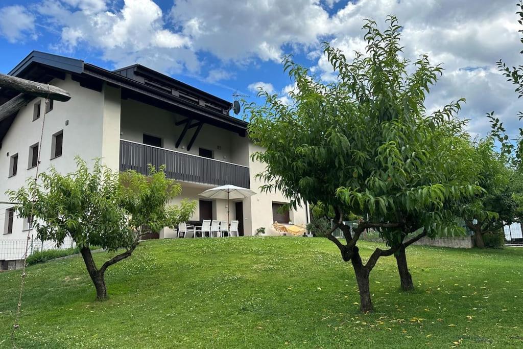 Haus Hafner Sonniges Apartment Terlano Ngoại thất bức ảnh